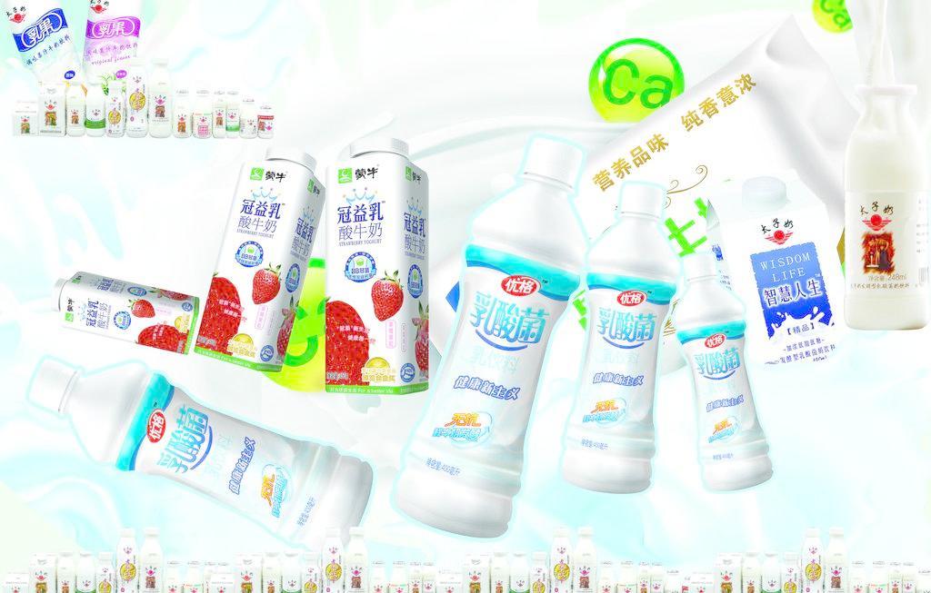 乳酸菌 小小微生物，守護大健康——日用百貨中的健康衛(wèi)士